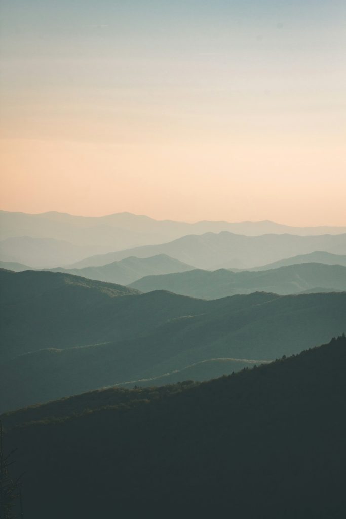 Featured Image 5 683x1024